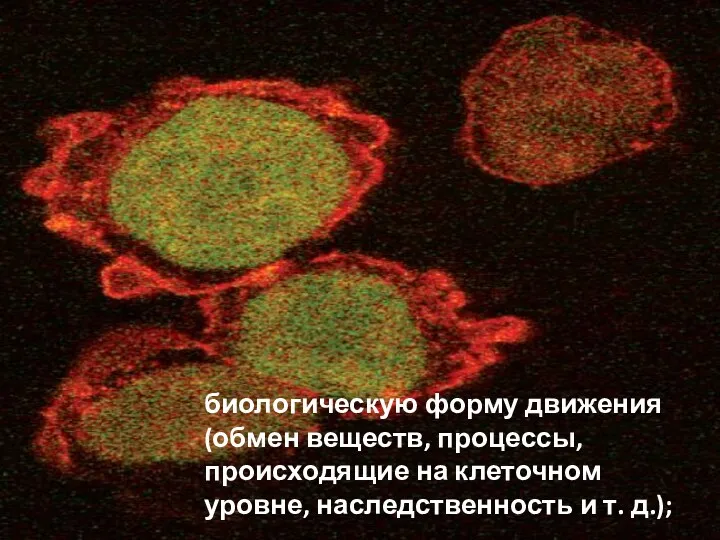 биологическую форму движения (обмен веществ, процессы, происходящие на клеточном уровне, наследственность и т. д.);