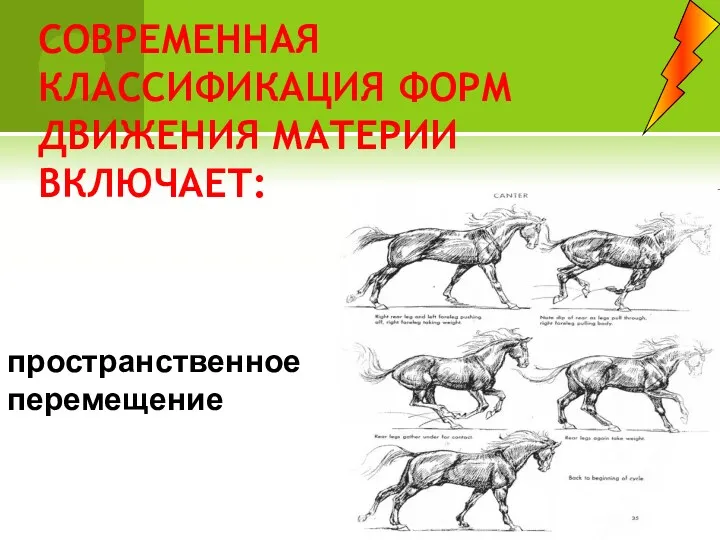 СОВРЕМЕННАЯ КЛАССИФИКАЦИЯ ФОРМ ДВИЖЕНИЯ МАТЕРИИ ВКЛЮЧАЕТ: пространственное перемещение