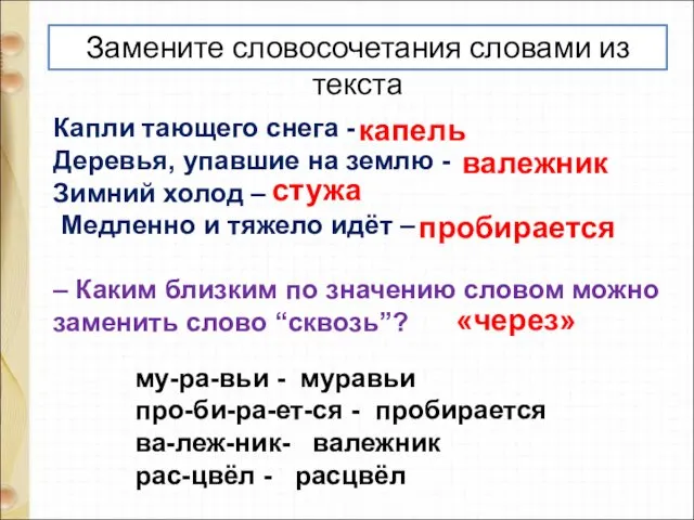 Капли тающего снега - Деревья, упавшие на землю - Зимний