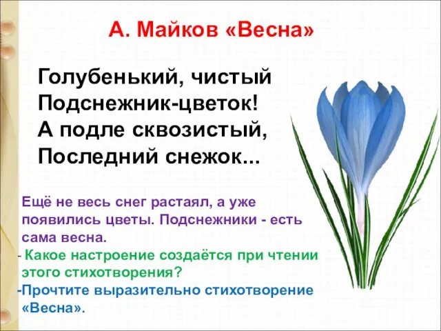 Голубенький, чистый Подснежник-цветок! А подле сквозистый, Последний снежок... А. Майков