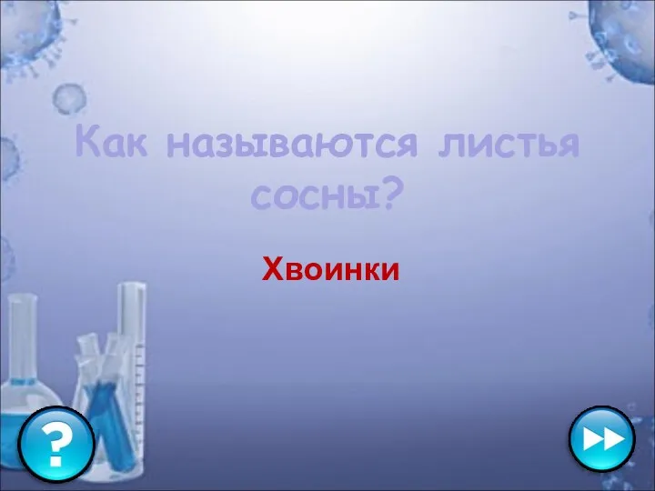 Как называются листья сосны? Хвоинки