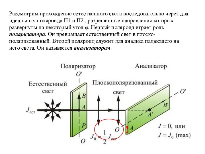 Рассмотрим прохождение естественного света последовательно через два идеальных поляроида П1