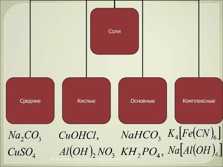 * Муртузалиев А.М. МКОУ "Некрасовская СОШ"