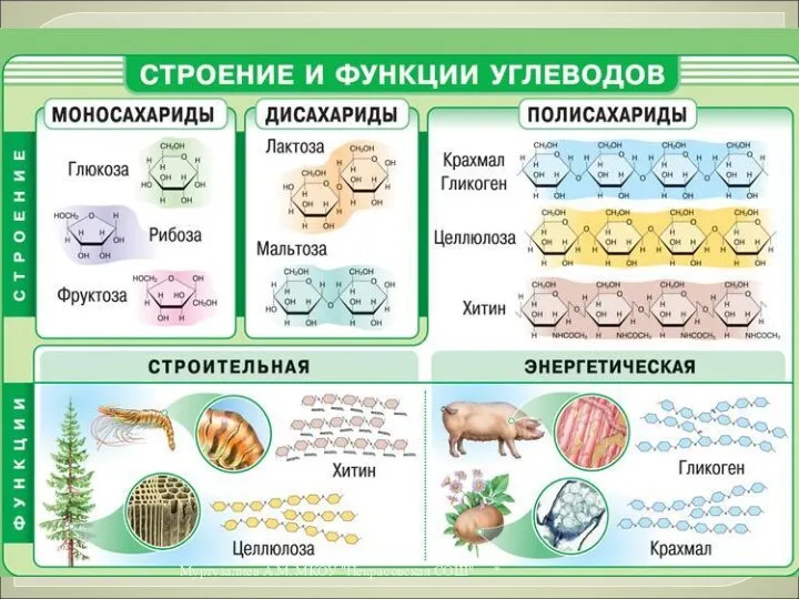 * Муртузалиев А.М. МКОУ "Некрасовская СОШ"