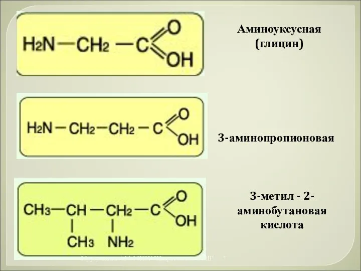 Аминоуксусная (глицин) 3-аминопропионовая 3-метил - 2-аминобутановая кислота * Муртузалиев А.М. МКОУ "Некрасовская СОШ"