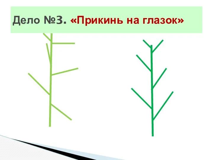 Дело №3. «Прикинь на глазок»