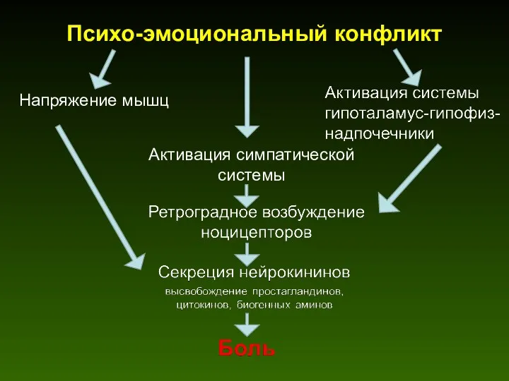 Психо-эмоциональный конфликт Напряжение мышц Активация симпатической системы