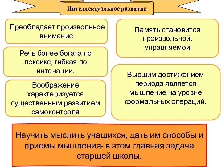 Преобладает произвольное внимание Память становится произвольной, управляемой Речь более богата