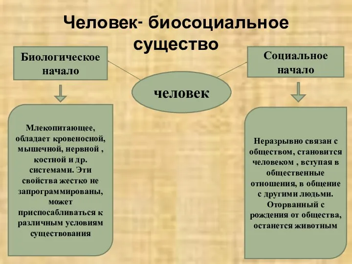 Человек- биосоциальное существо человек Биологическое начало Социальное начало Млекопитающее, обладает