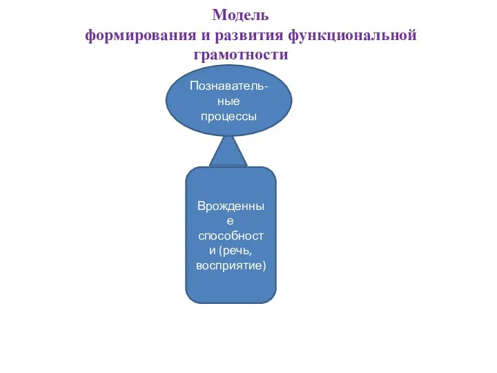 Врожденные способности (речь, восприятие) Познаватель-ные процессы Модель формирования и развития функциональной грамотности