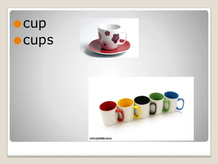 cup cups