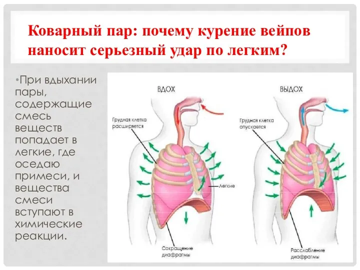 При вдыхании пары, содержащие смесь веществ попадает в легкие, где