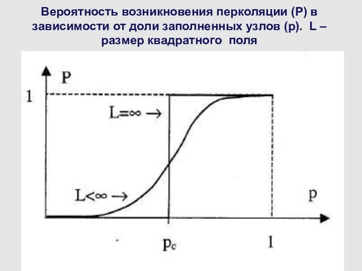 Вероятность возникновения перколяции (Р) в зависимости от доли заполненных узлов (р). L – размер квадратного поля
