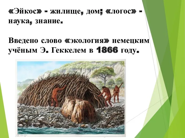 «Эйкос» - жилище, дом; «логос» - наука, знание. Введено слово