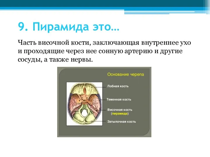 9. Пирамида это… Часть височной кости, заключающая внутреннее ухо и