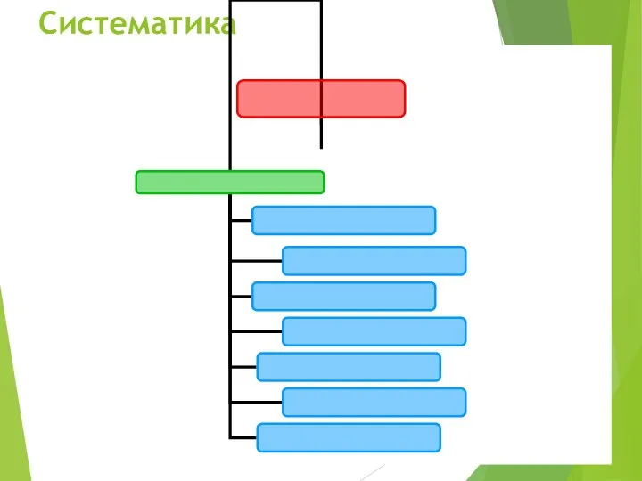 Систематика