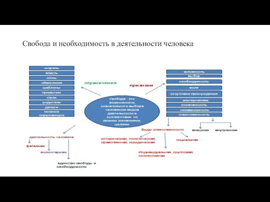 Свобода и необходимость в деятельности человека