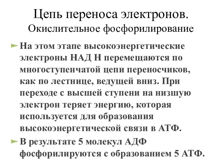 Цепь переноса электронов. Окислительное фосфорилирование На этом этапе высокоэнергетические электроны