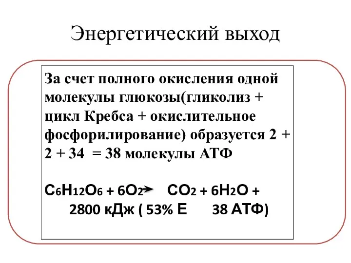 Энергетический выход За счет полного окисления одной молекулы глюкозы(гликолиз +