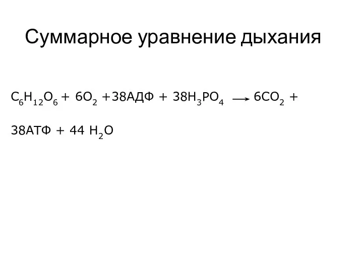 Суммарное уравнение дыхания С6Н12О6 + 6О2 +38АДФ + 38Н3РО4 6СО2 + 38АТФ + 44 Н2О