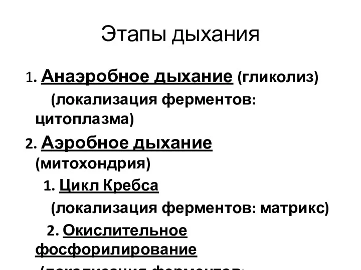 Этапы дыхания 1. Анаэробное дыхание (гликолиз) (локализация ферментов: цитоплазма) 2.