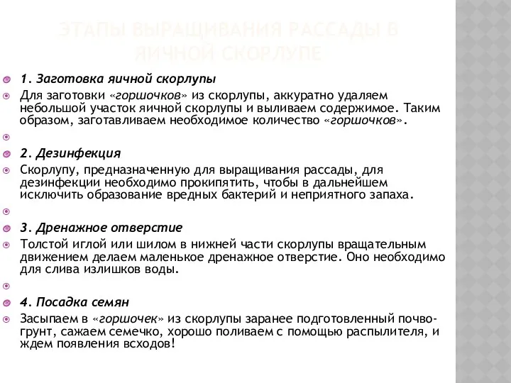 ЭТАПЫ ВЫРАЩИВАНИЯ РАССАДЫ В ЯИЧНОЙ СКОРЛУПЕ 1. Заготовка яичной скорлупы