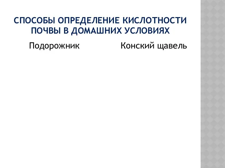 СПОСОБЫ ОПРЕДЕЛЕНИЕ КИСЛОТНОСТИ ПОЧВЫ В ДОМАШНИХ УСЛОВИЯХ Подорожник Конский щавель