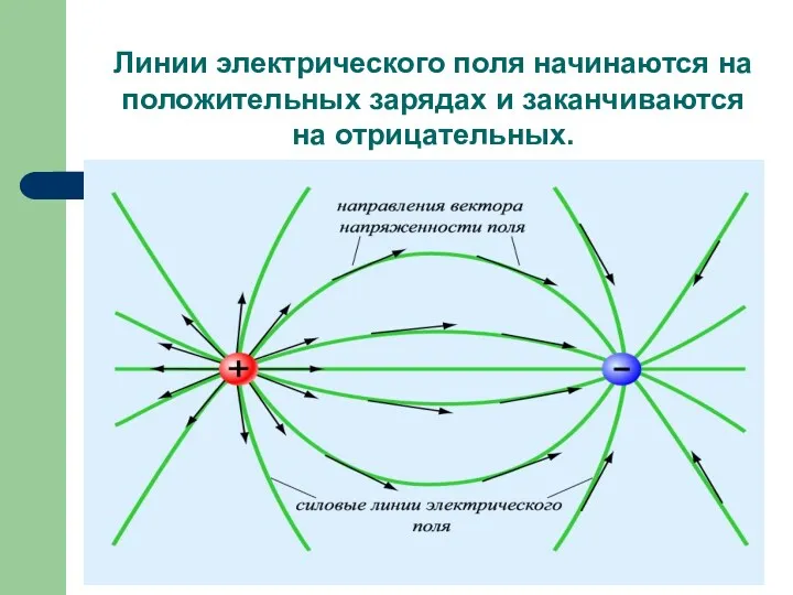 Линии электрического поля начинаются на положительных зарядах и заканчиваются на отрицательных.