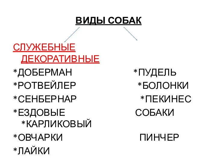 ВИДЫ СОБАК СЛУЖЕБНЫЕ ДЕКОРАТИВНЫЕ *ДОБЕРМАН *ПУДЕЛЬ *РОТВЕЙЛЕР *БОЛОНКИ *СЕНБЕРНАР *ПЕКИНЕС *ЕЗДОВЫЕ СОБАКИ *КАРЛИКОВЫЙ *ОВЧАРКИ ПИНЧЕР *ЛАЙКИ