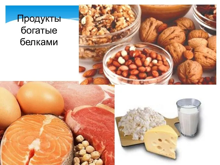 Продукты богатые белками