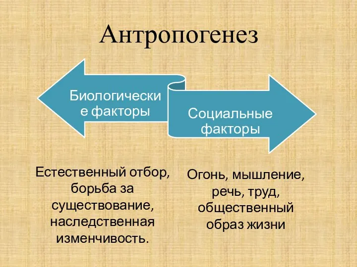 Антропогенез Естественный отбор, борьба за существование, наследственная изменчивость. Огонь, мышление, речь, труд, общественный образ жизни