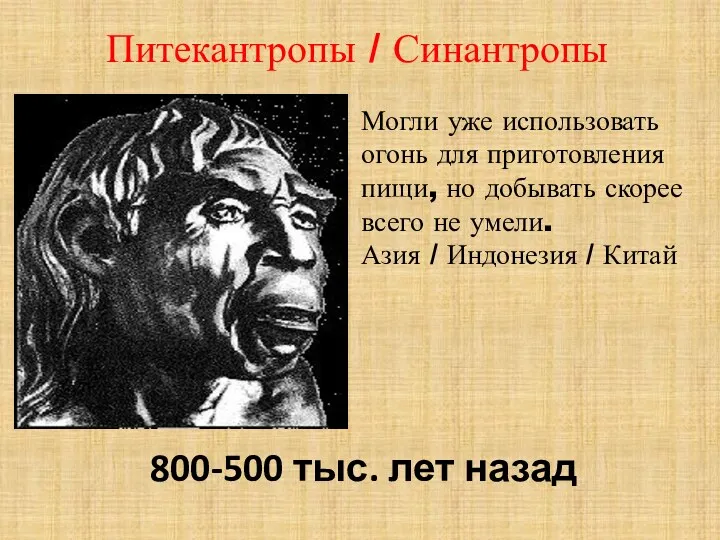 Питекантропы / Синантропы 800-500 тыс. лет назад Могли уже использовать