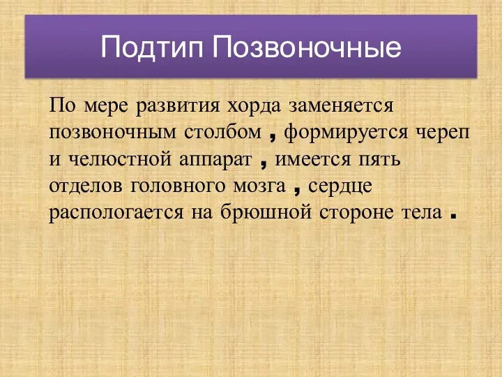 Подтип Позвоночные По мере развития хорда заменяется позвоночным столбом ,