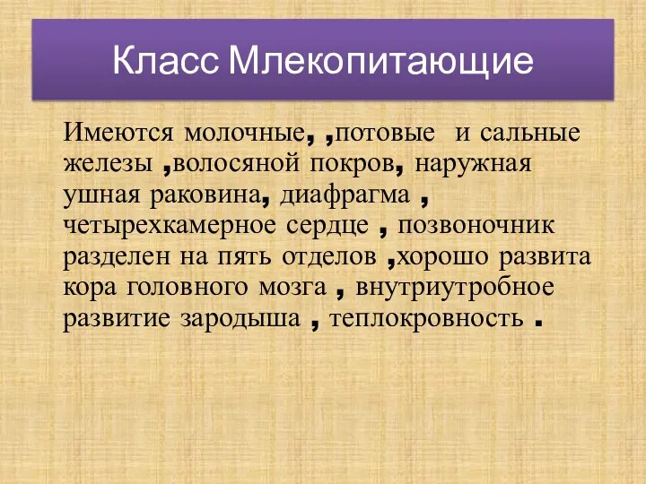 Класс Млекопитающие Имеются молочные, ,потовые и сальные железы ,волосяной покров,