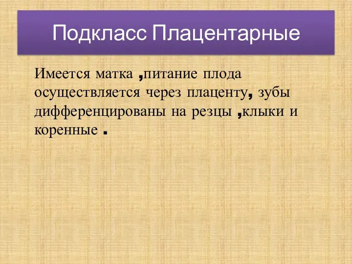 Подкласс Плацентарные Имеется матка ,питание плода осуществляется через плаценту, зубы