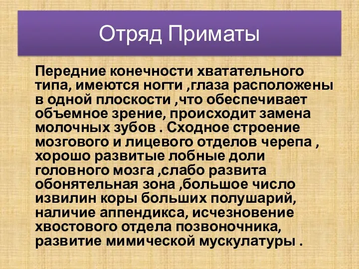 Отряд Приматы Передние конечности хватательного типа, имеются ногти ,глаза расположены