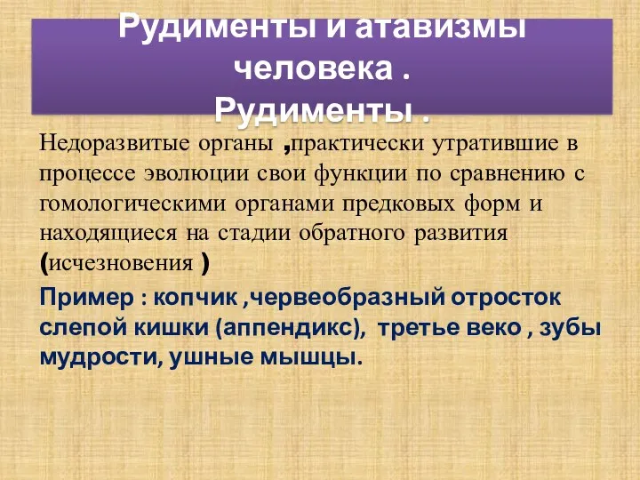 Рудименты и атавизмы человека . Рудименты . Недоразвитые органы ,практически