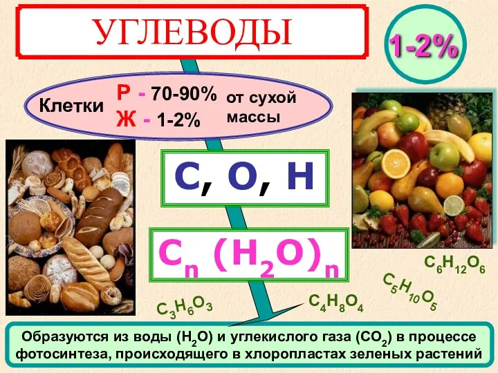 УГЛЕВОДЫ Клетки С, О, Н Сn (Н2О)n Р - 70-90%