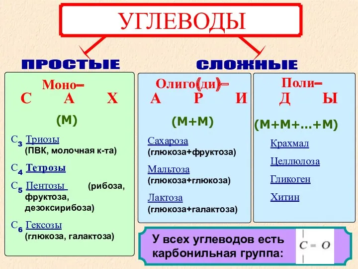 Моно– Олиго(ди)– Поли– С А Х А Р И Д