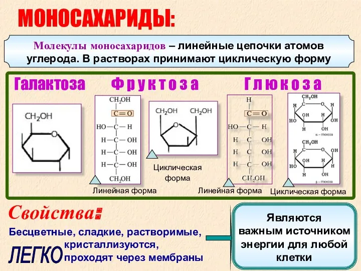 Линейная форма Ф р у к т о з а