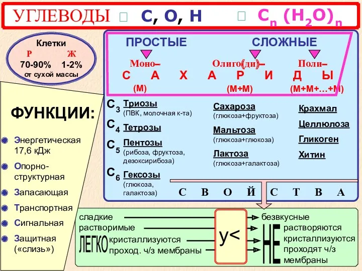 УГЛЕВОДЫ ? С, О, Н СЛОЖНЫЕ Моно– Олиго(ди)– Поли– С