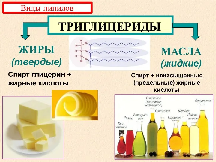 ЖИРЫ (твердые) МАСЛА (жидкие) ТРИГЛИЦЕРИДЫ Спирт глицерин + жирные кислоты