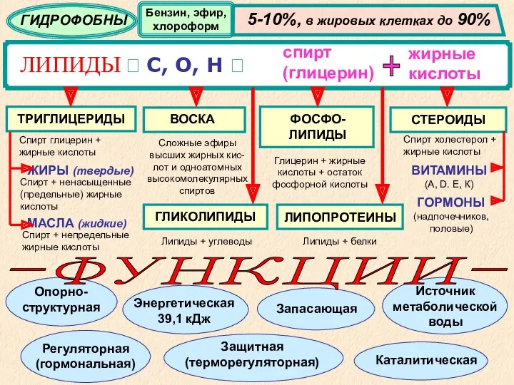 ЛИПИДЫ ? С, О, Н ? спирт (глицерин) жирные кислоты