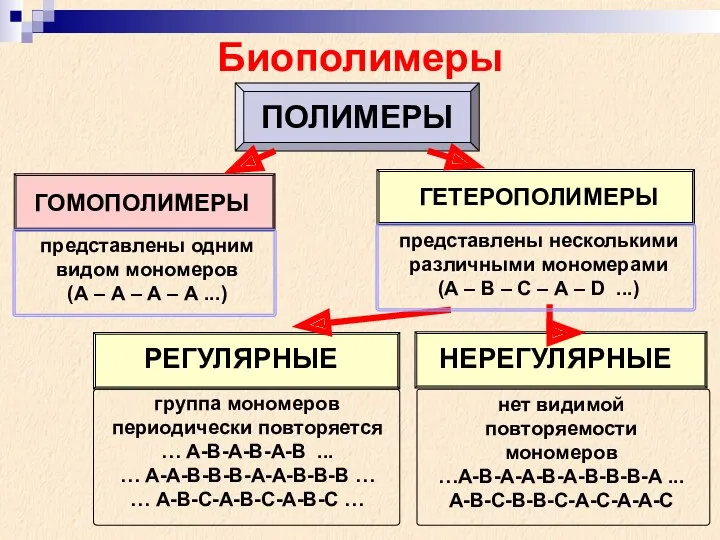 Биополимеры ПОЛИМЕРЫ ГОМОПОЛИМЕРЫ ГЕТЕРОПОЛИМЕРЫ представлены одним видом мономеров (А –