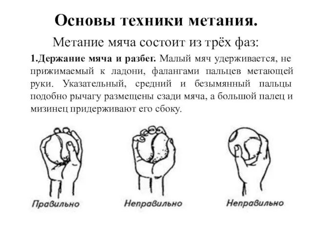 Основы техники метания. Метание мяча состоит из трёх фаз: 1.Держание