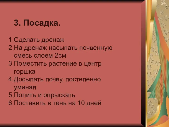 3. Посадка. Сделать дренаж На дренаж насыпать почвенную смесь слоем 2см Поместить растение