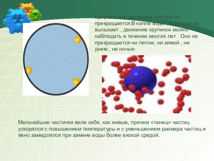 Броуновское движение никогда не прекращается.В капле воды , если она