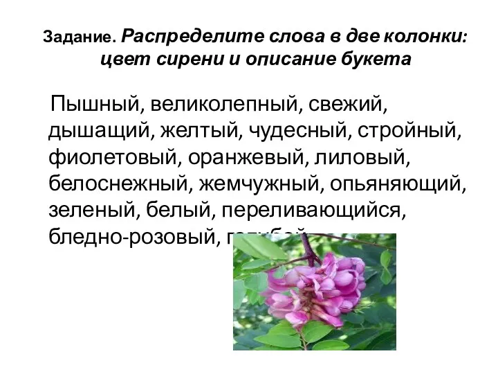 Задание. Распределите слова в две колонки: цвет сирени и описание