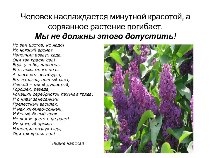 Человек наслаждается минутной красотой, а сорванное растение погибает. Мы не