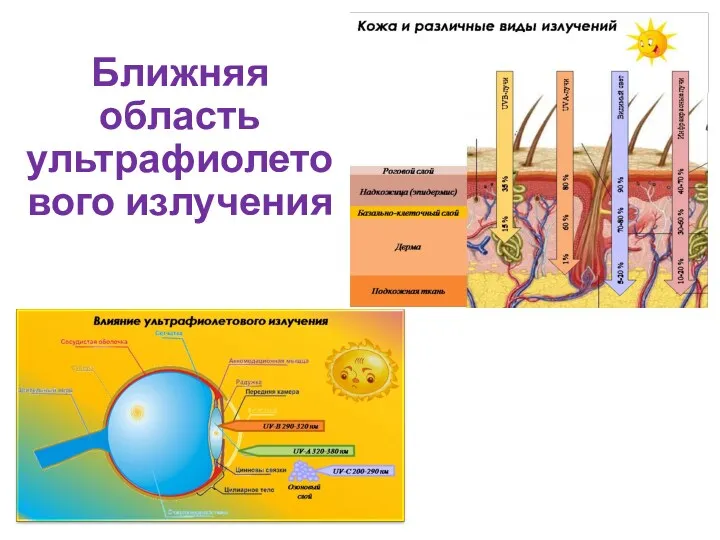 Ближняя область ультрафиолетового излучения